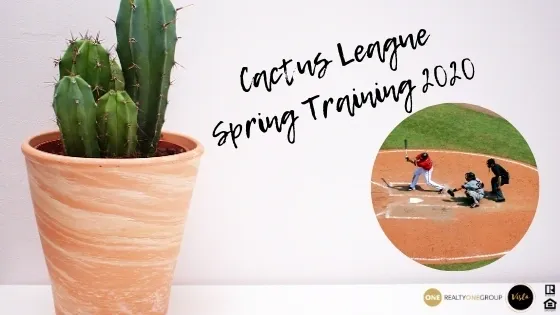 Spring Training in Arizona- What You Need to Know