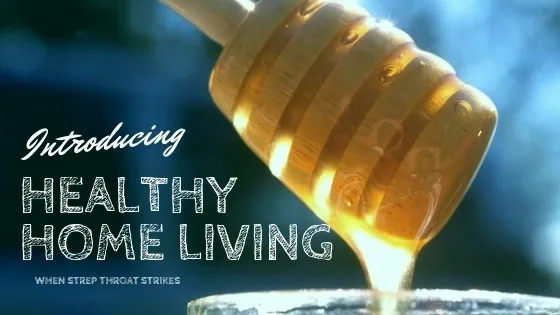 Vista’s Healthy Home Series